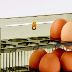 GigiandTom Acrylic Kitchen Egg Holder