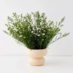 GigiandTom Double Bubble Ceramic Vase