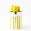 GigiandTom Kitchen Accessories*Lemon Ceramic Canister
