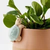 GigiandTom Planters*Timmy Turtle Ceramic Pot Hanger